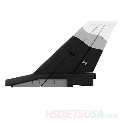 Picture of HSDJETS S-EDF 105mm HF-16 Black and white Snow Camo color Vertical tail**