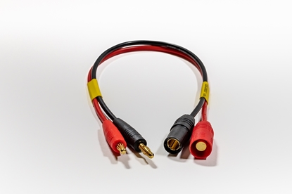 Picture of AS150 Charge Lead*