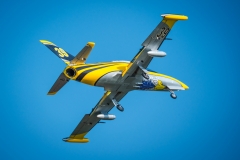 Picture of HSD HL-39 Turbine RC Jet PNP - Tumbling Goose