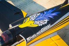 Picture of HSD HL-39 Turbine RC Jet PNP - Tumbling Goose