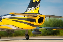 Picture of HSD HL-39 Turbine RC Jet PNP - Tumbling Goose