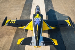 Picture of HSD HL-39 Turbine RC Jet PNP - Tumbling Goose