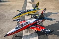 Picture of HSD HL-39 Turbine RC Jet PNP - Tumbling Goose