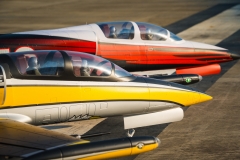 Picture of HSD HL-39 Turbine RC Jet PNP - Tumbling Goose